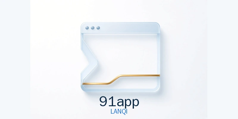 91app 品牌标识
